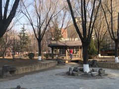 -芍药居北里