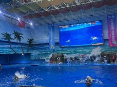 -多彩贵州城极地海洋世界