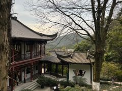 -十八棵（老龙井）御茶园(老龙井店)