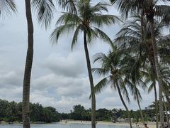 -巴拉湾海滩