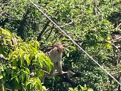 -重庆云阳龙缸景区
