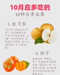 -雅曼妮spa美容养生