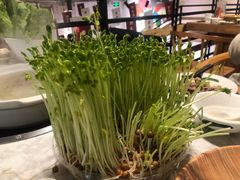 -广顺鑫猪肚鸡(经八路店)