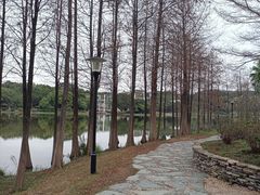 -东莞植物园