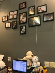 -明星刺青·洗纹身