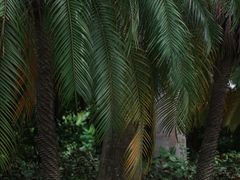 -人民公园(罗湖区)