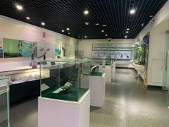 -中国第四纪冰川遗迹陈列馆