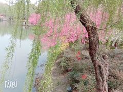 -圩墩遗址公园