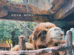 -长鹿旅游休博园