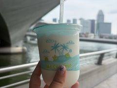 -鱼尾狮公园