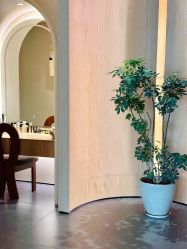 -Boss H Beauty美肌中心