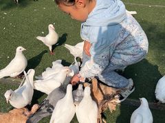 -成都欢乐谷