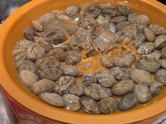 -龍歌自助小火锅(李沧丽达店)