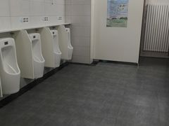 -中环花鸟鱼虫市场