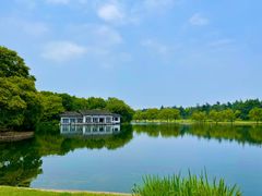 -上海共青森林公园