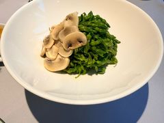 夜来香椒麻蘑菇-屋里厢上海菜馆