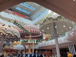 -超级奈尔宝SUPER NEOBIO(杭州星光店)