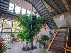 -了不起的考拉咖啡店(高新店)