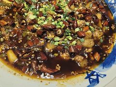 -新概念来凤鱼(璧山店)