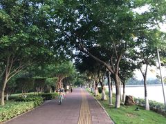 -五缘湾湿地公园