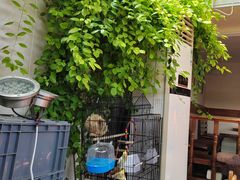 -丽江庭院之爱在路上(西单店)