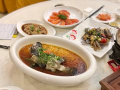 细珍珠斑-东豪园林海鲜酒家(南港路辅路店)