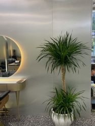 -Tloml salon