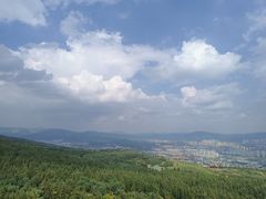 -长虫山生态公园风景林