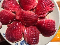 -小龙坎老火锅(鹤伴一路店)