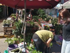 -哈尔滨道外花鸟鱼市场