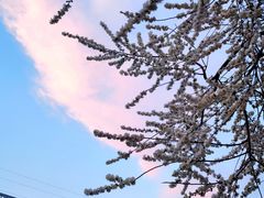 -雍和宫(地铁站)