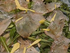 -伊藤ITO(侨福芳草地购物中心店)