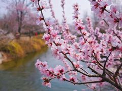 -国家植物园