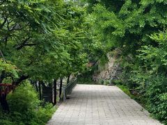 -阳台山自然风景区