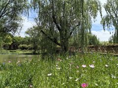 -华东政法大学(松江校区)