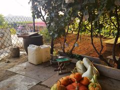 -大泽山风景名胜区