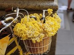 -海皇食府(水都假日酒店店)