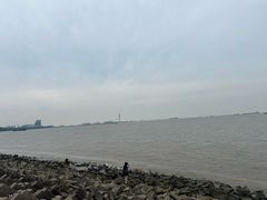-上海滨江森林公园