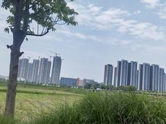 -光明小镇欢乐田园