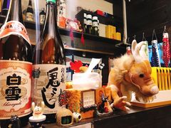 -金龙咖喱