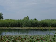 -苏州太湖湖滨国家湿地公园