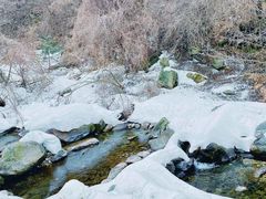 -少华山国家森林公园