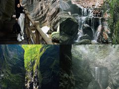 -牛背梁国家森林公园