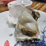 苏岗村里有肥嘟嘟的生蚝吃噢！