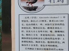 -青藏高原野生动物园