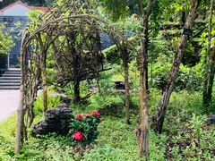 -深圳仙湖植物园