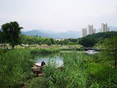 -牛岗山公园