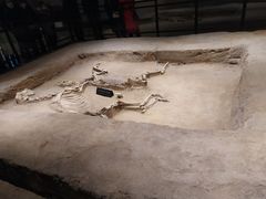 -洛阳周王城天子驾六博物馆