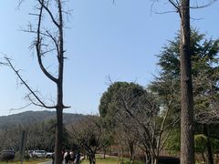 -宝界山林公园