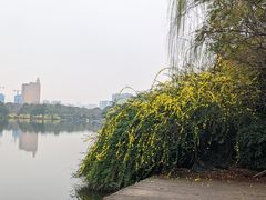 -成都南湖公园